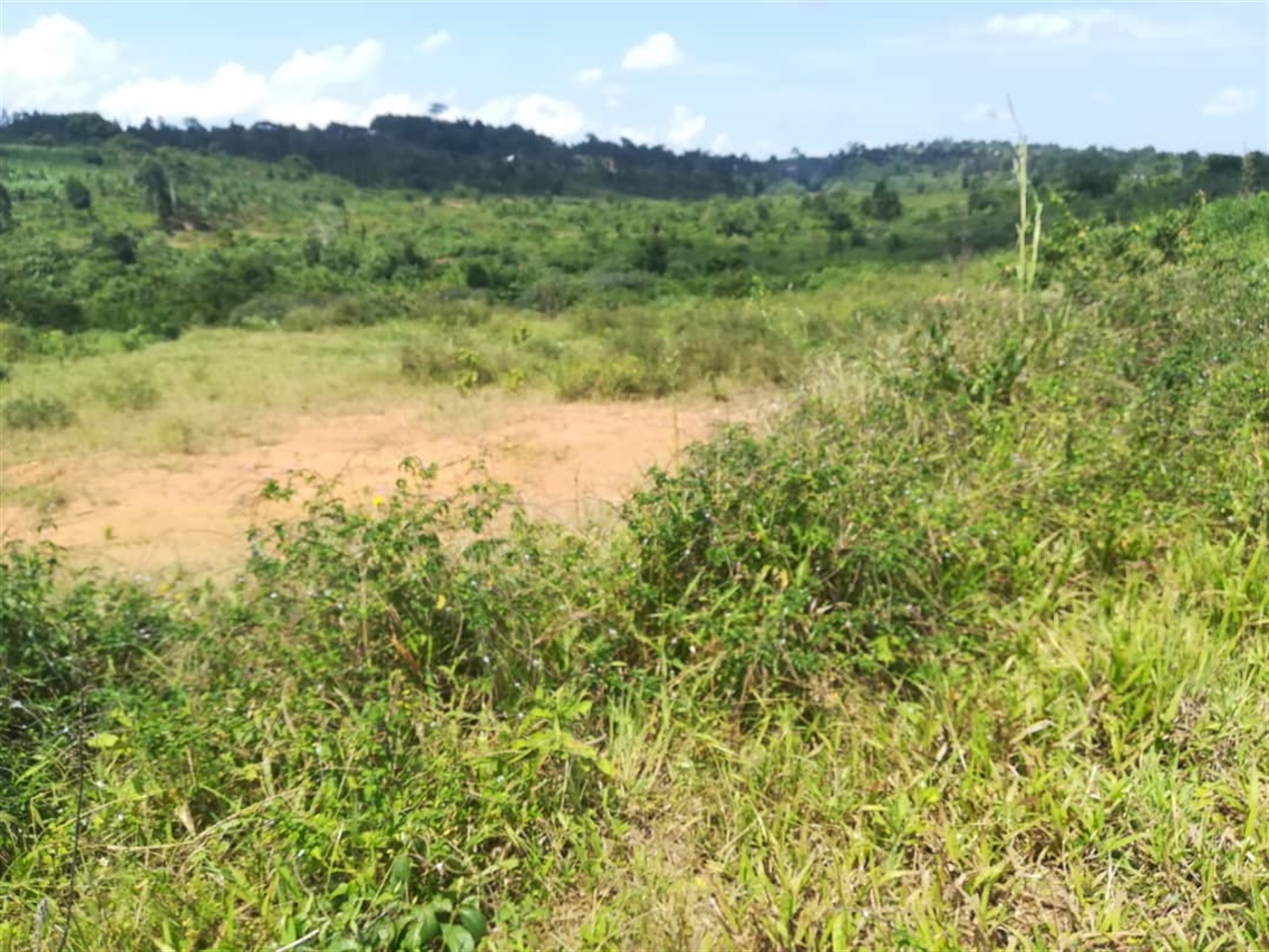 Residential Land for sale in Kabembe Mukono