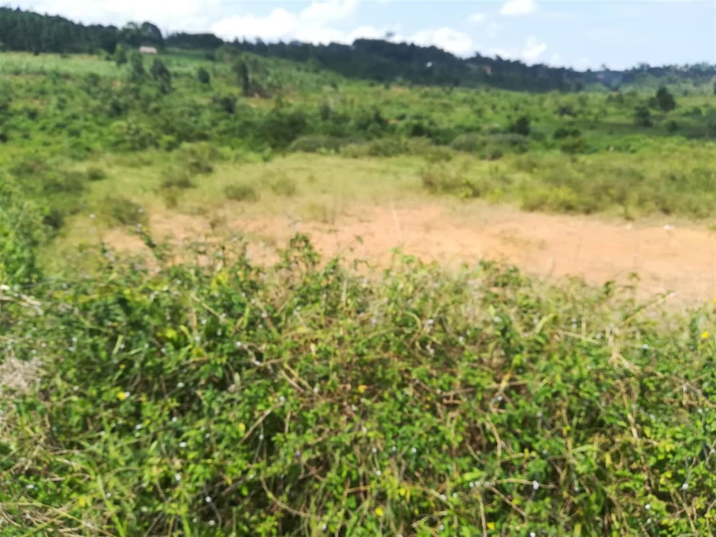 Residential Land for sale in Kabembe Mukono