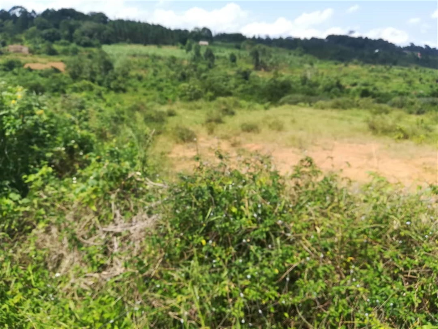 Residential Land for sale in Kabembe Mukono