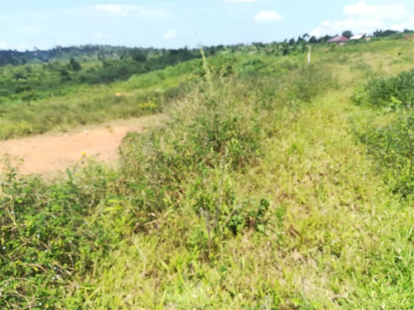 Residential Land for sale in Kabembe Mukono