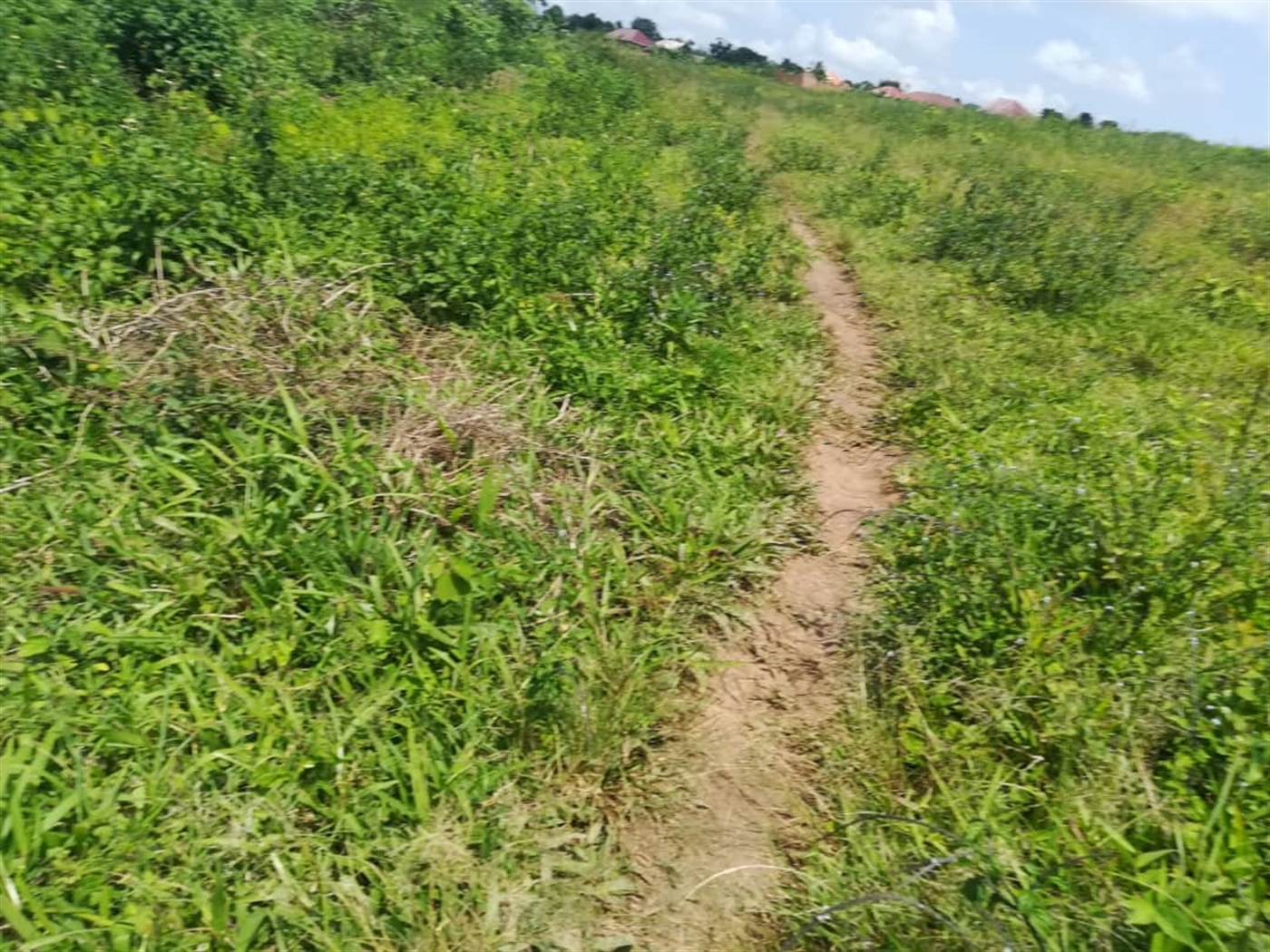 Residential Land for sale in Kabembe Mukono