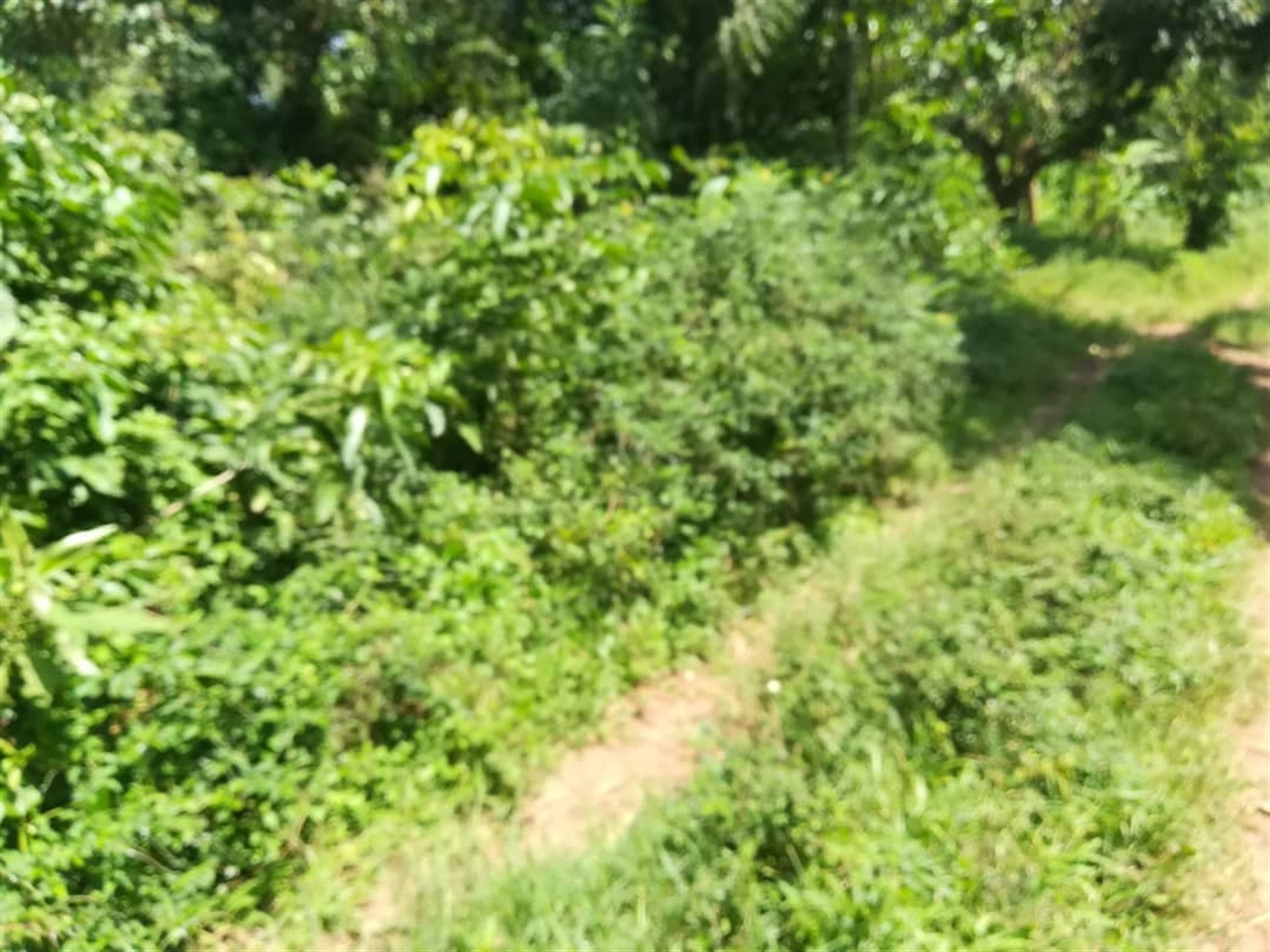 Residential Land for sale in Kabembe Mukono