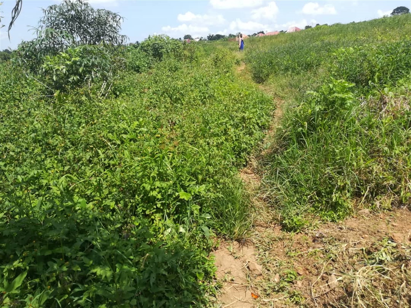 Residential Land for sale in Kabembe Mukono