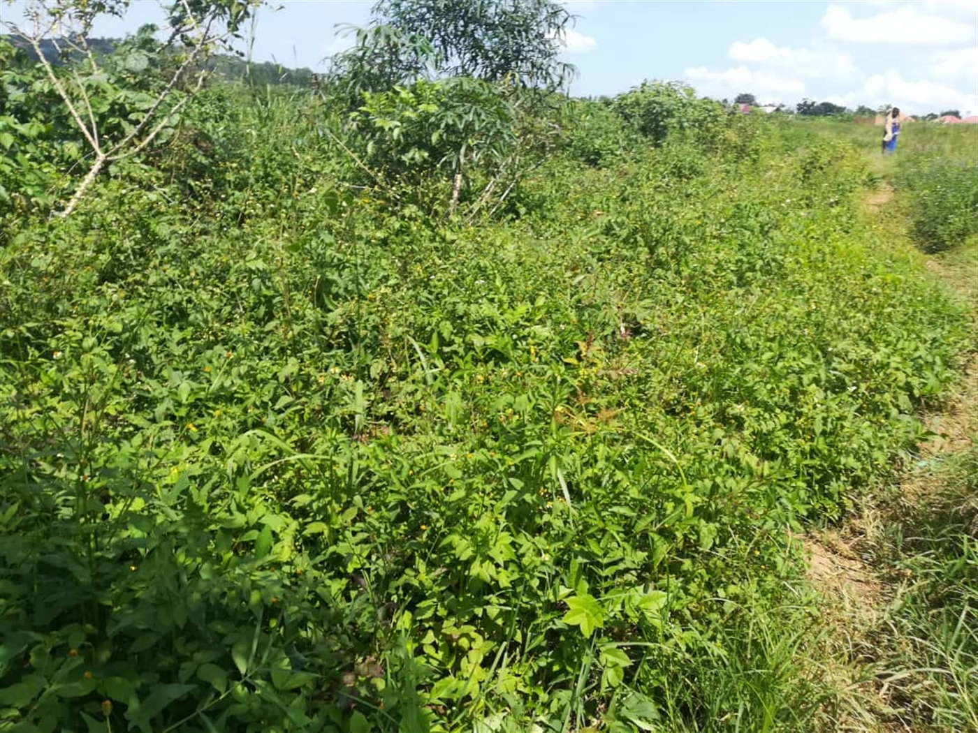 Residential Land for sale in Kabembe Mukono