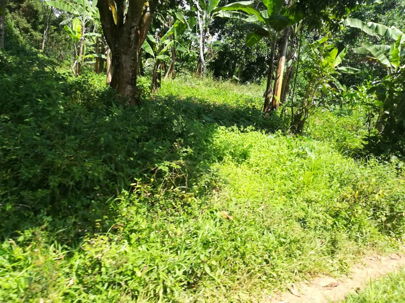 Residential Land for sale in Kabembe Mukono