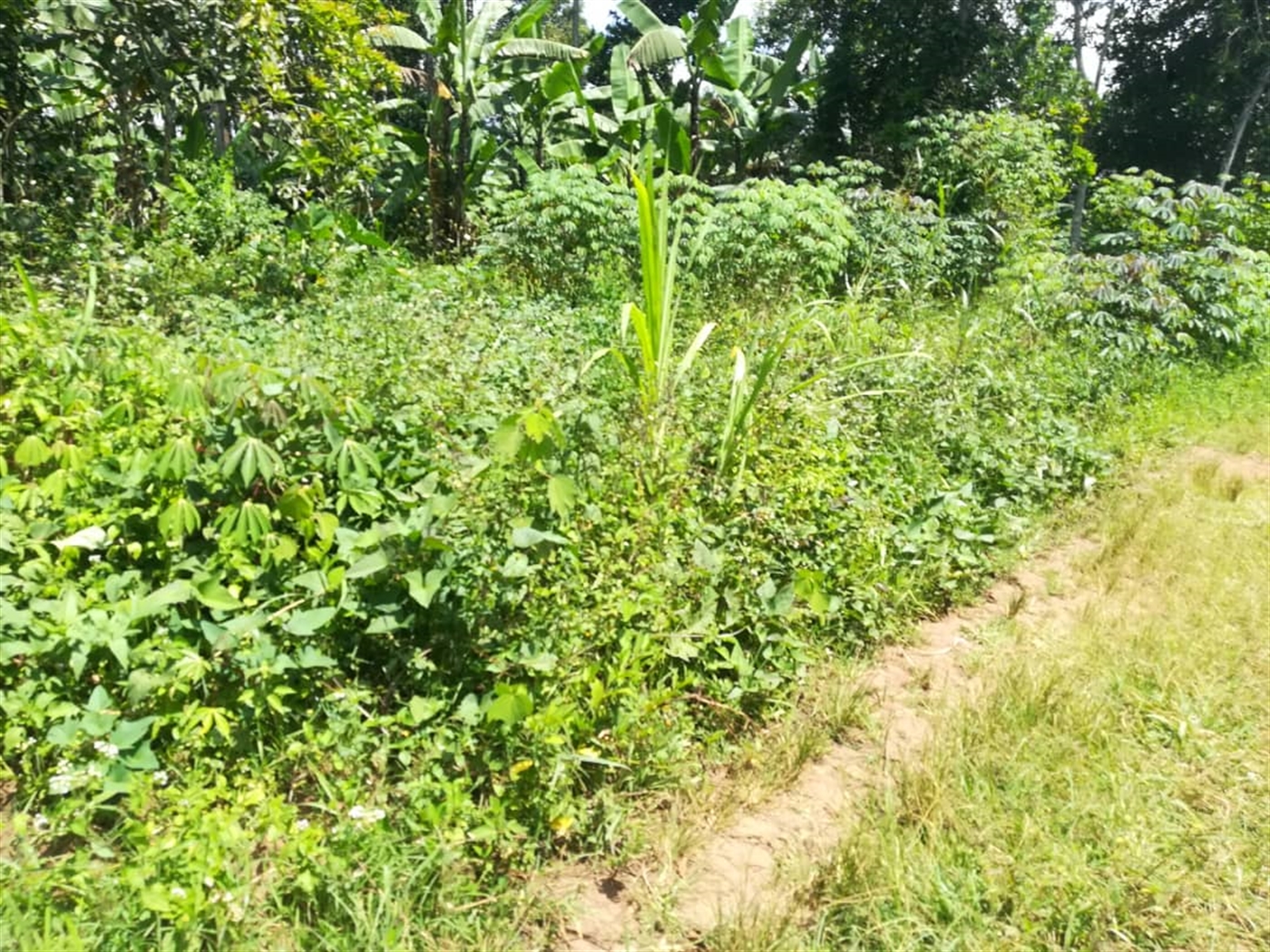 Residential Land for sale in Kabembe Mukono