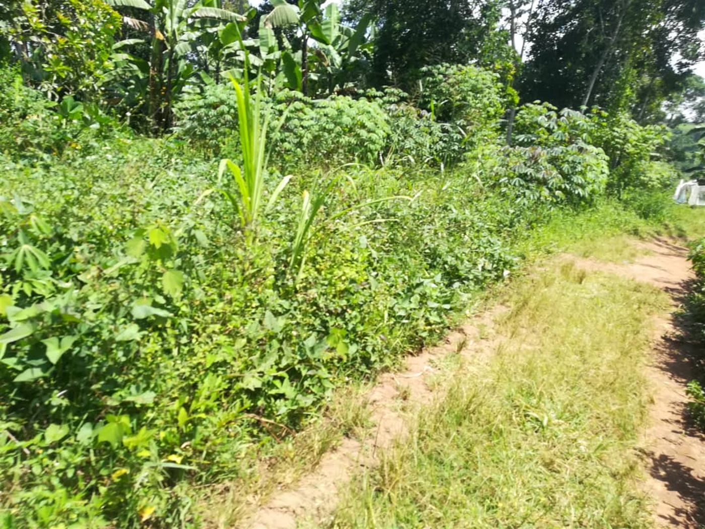 Residential Land for sale in Kabembe Mukono