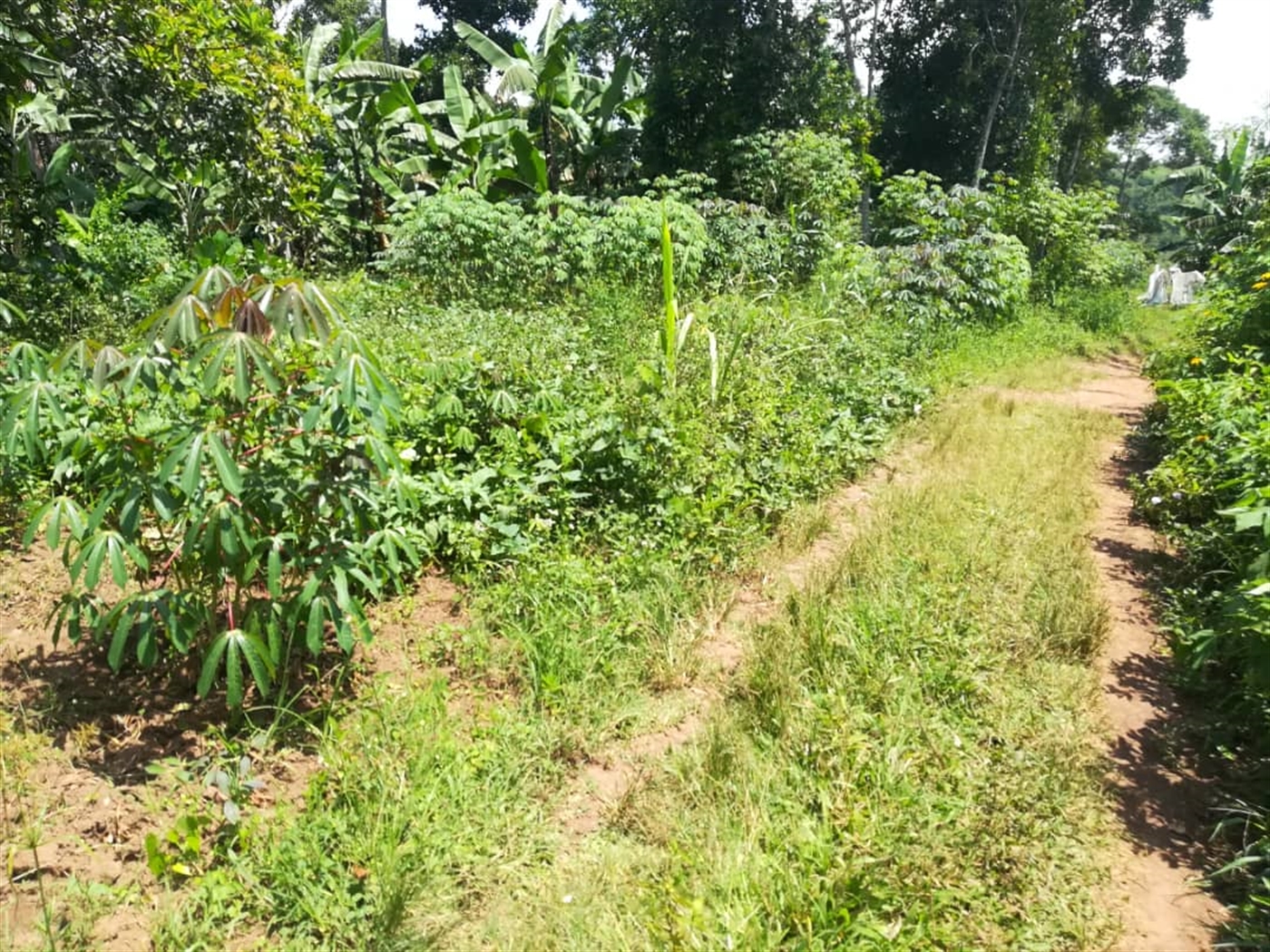 Residential Land for sale in Kabembe Mukono