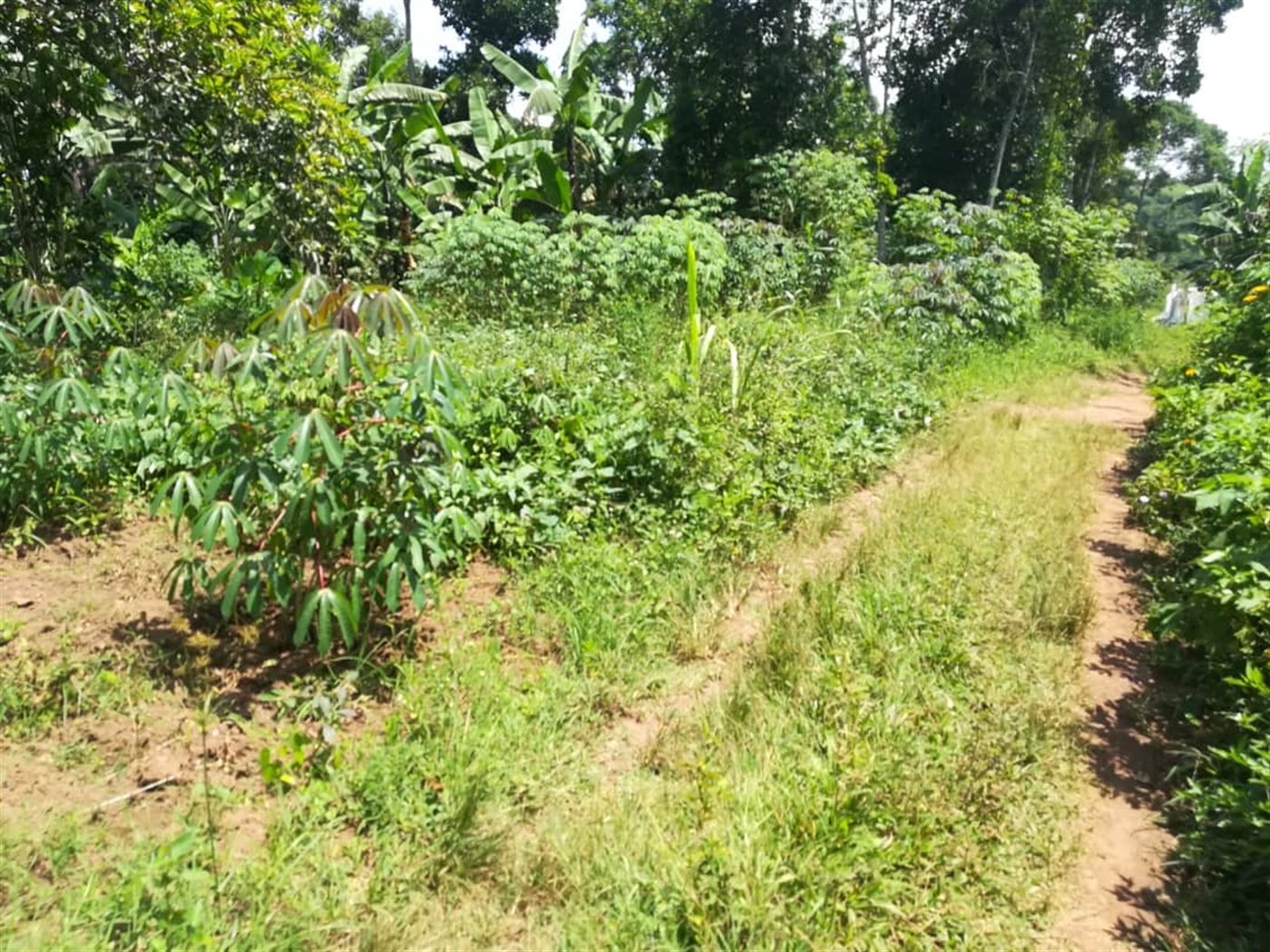 Residential Land for sale in Kabembe Mukono