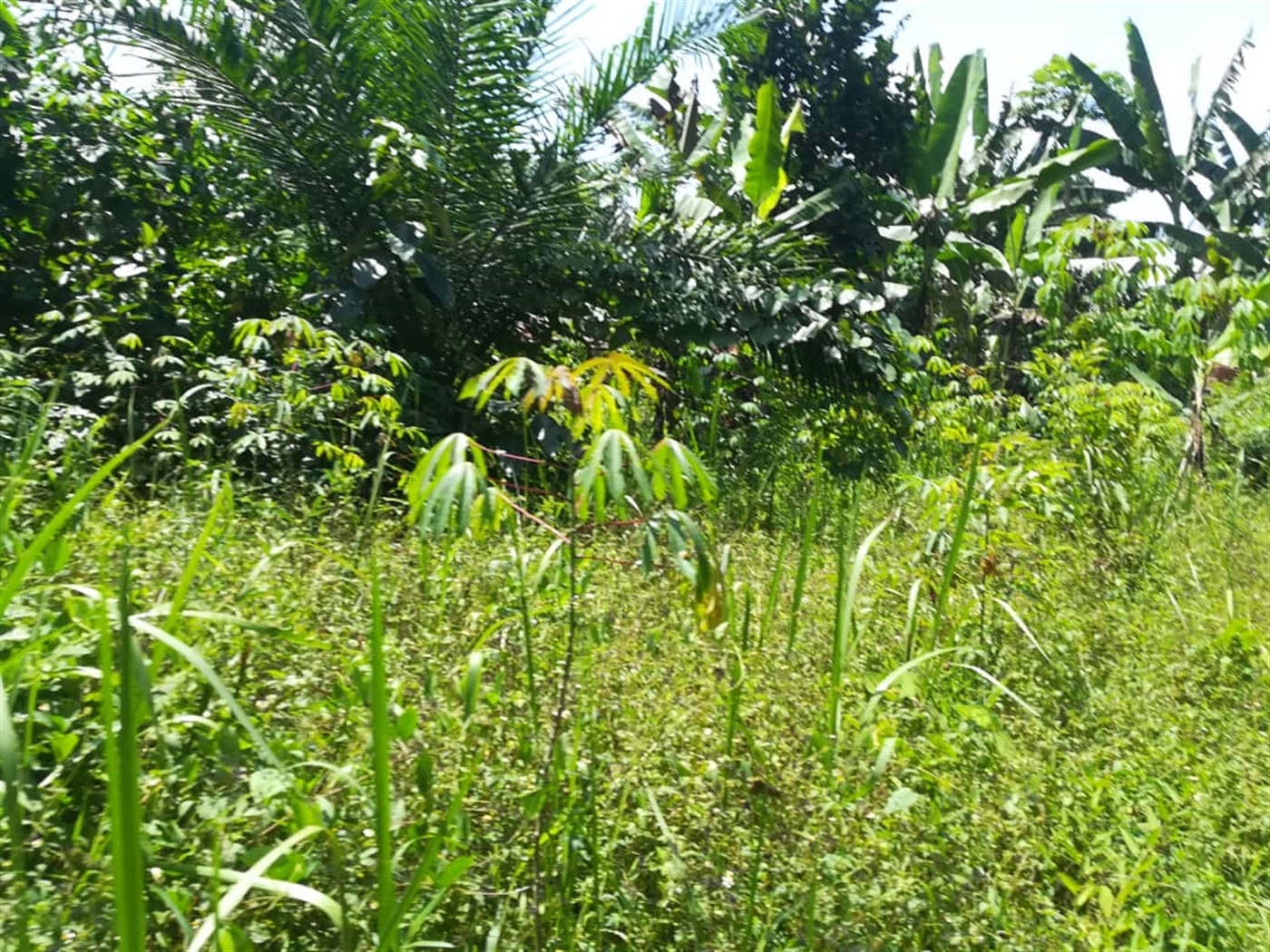 Residential Land for sale in Kabembe Mukono