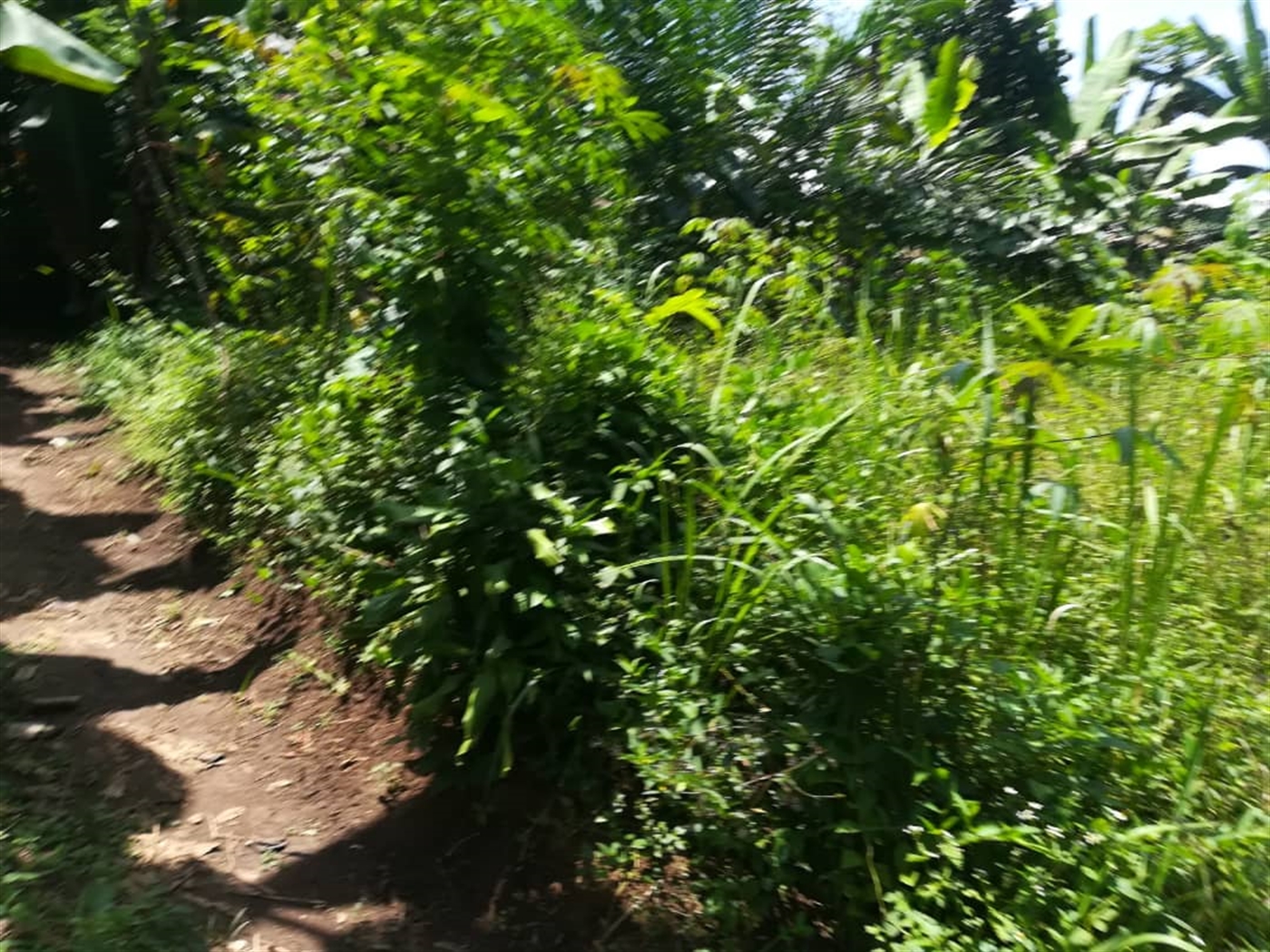 Residential Land for sale in Kabembe Mukono