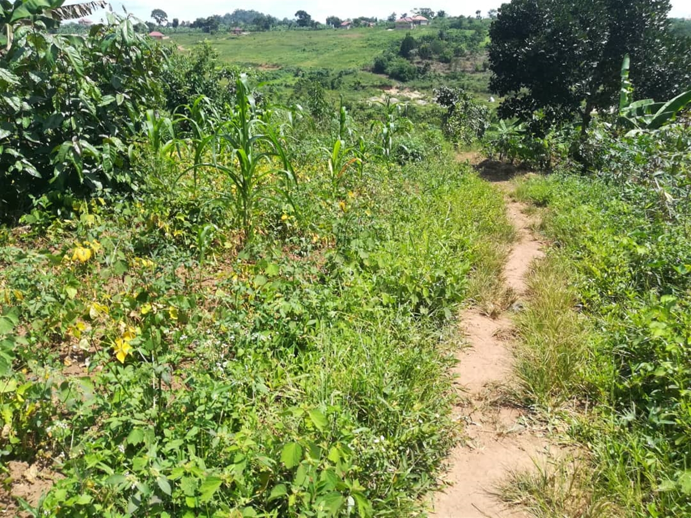 Residential Land for sale in Kabembe Mukono