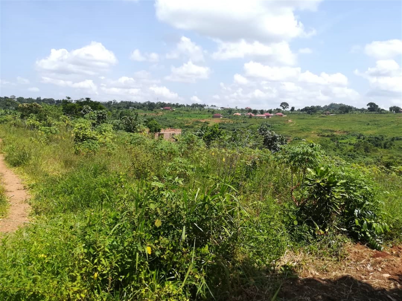 Residential Land for sale in Namuyenje Mukono