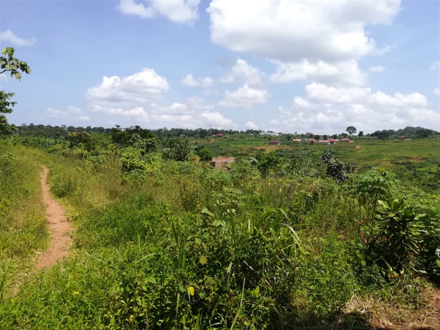 Residential Land for sale in Namuyenje Mukono