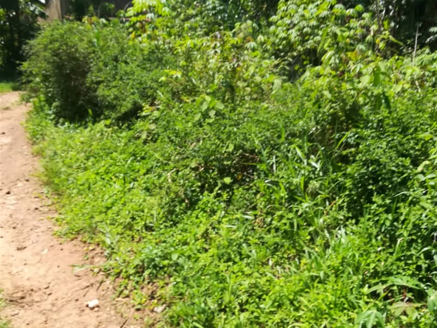 Residential Land for sale in Namuyenje Mukono