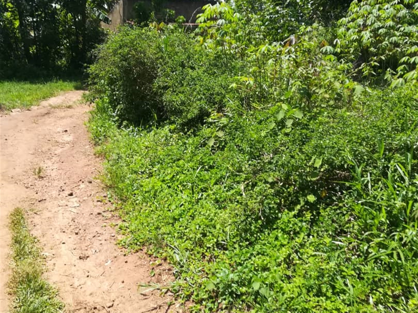 Residential Land for sale in Namuyenje Mukono