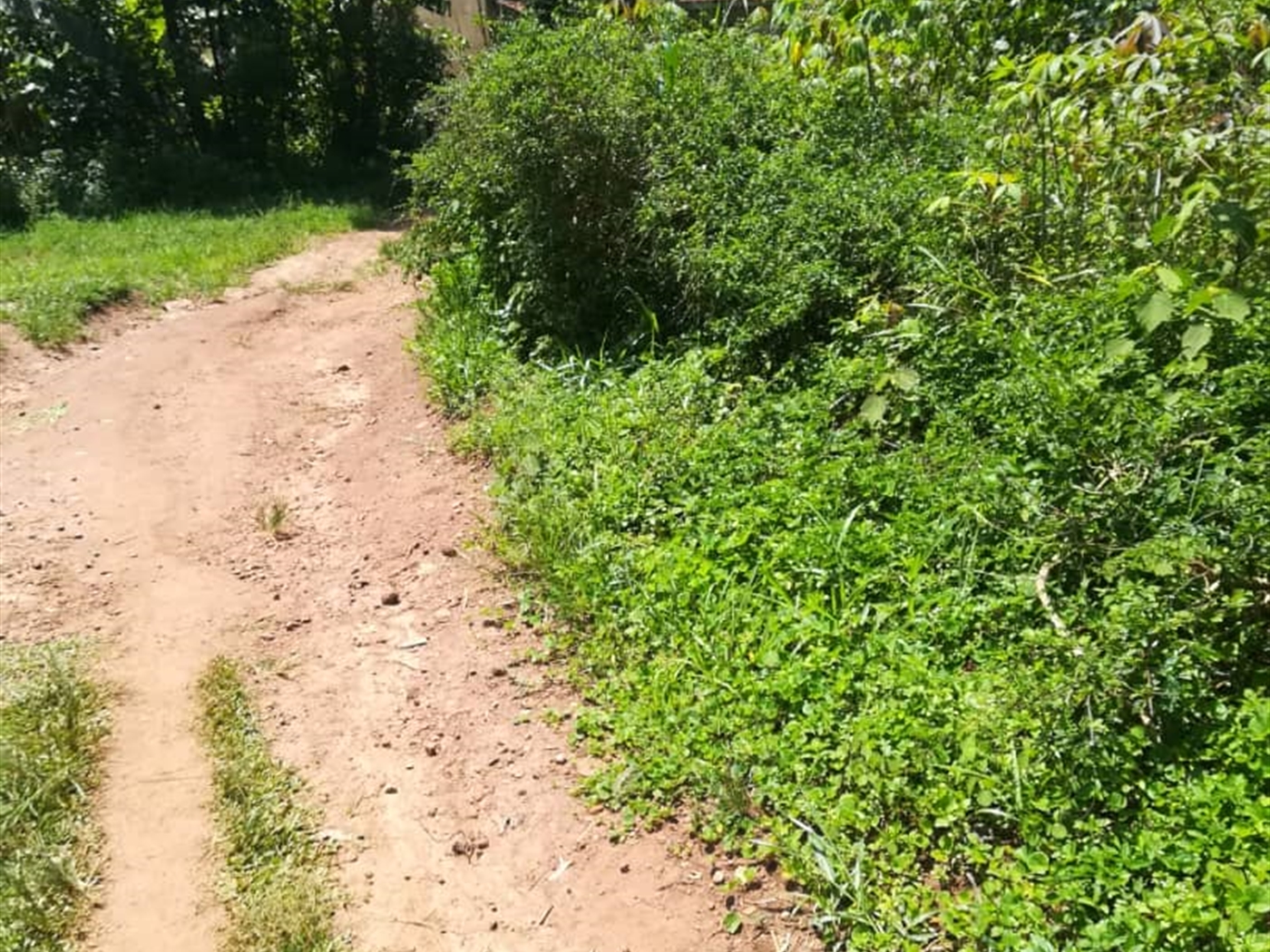 Residential Land for sale in Namuyenje Mukono