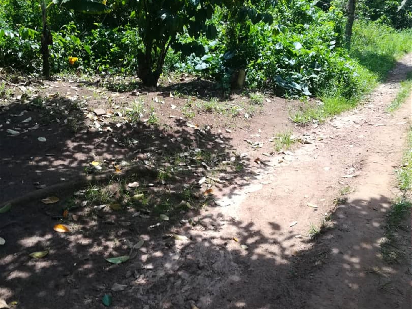 Residential Land for sale in Namuyenje Mukono