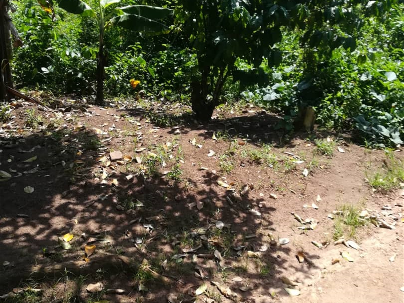 Residential Land for sale in Namuyenje Mukono