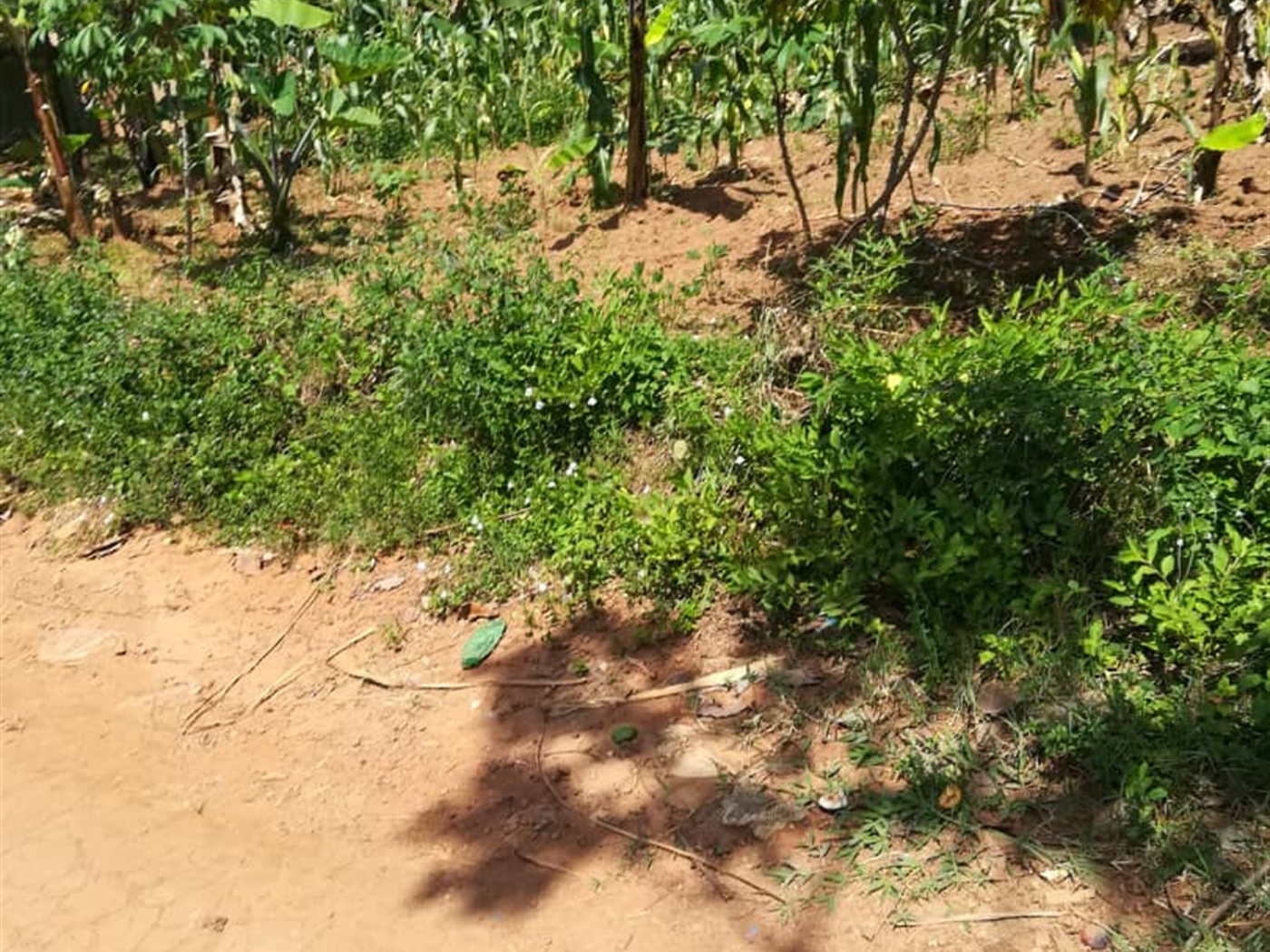 Residential Land for sale in Namuyenje Mukono