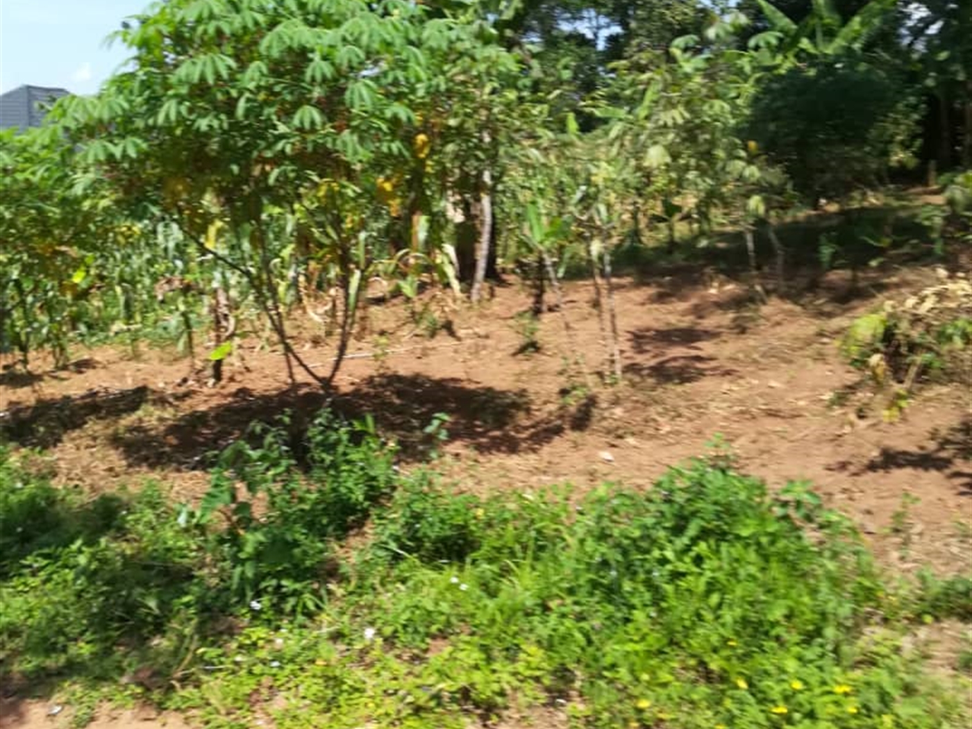 Residential Land for sale in Namuyenje Mukono