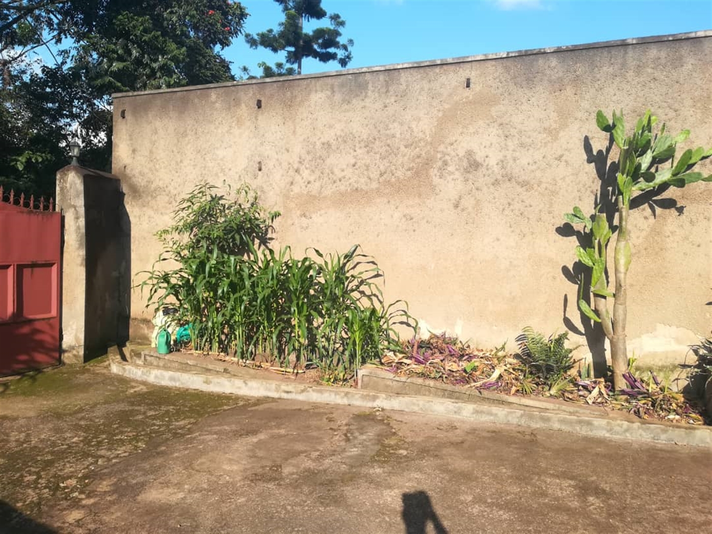 Town House for sale in Mukono Mukono