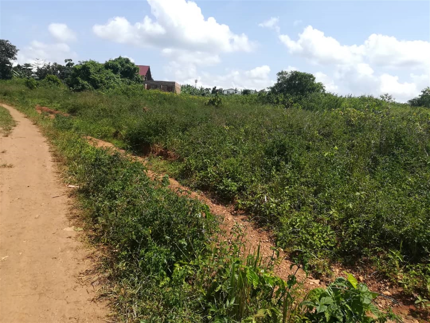 Residential Land for sale in Kabembe Mukono