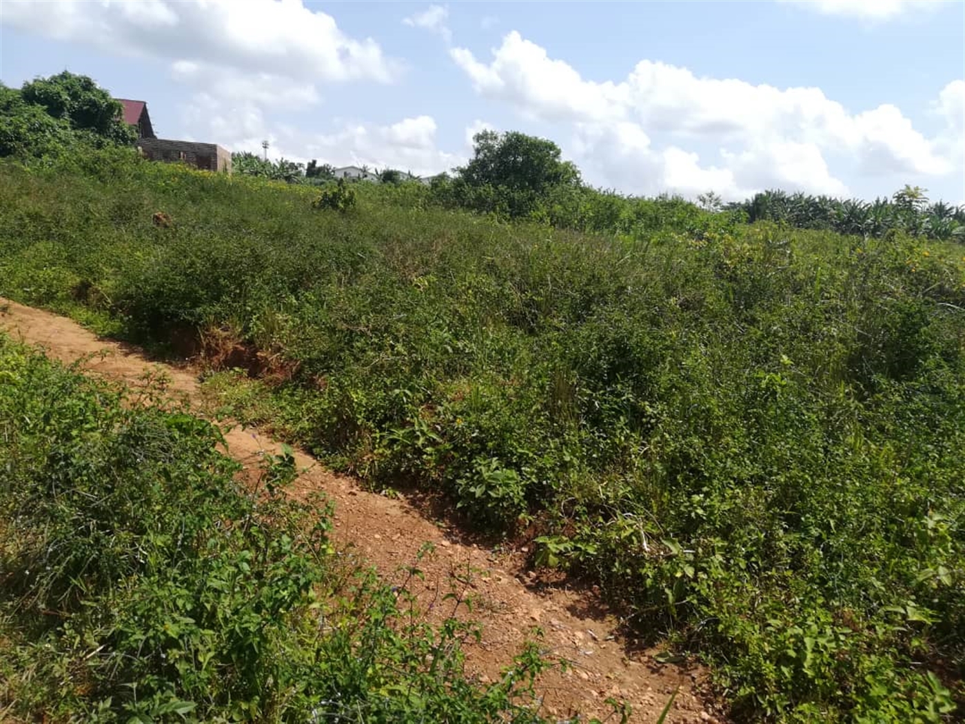 Residential Land for sale in Kabembe Mukono