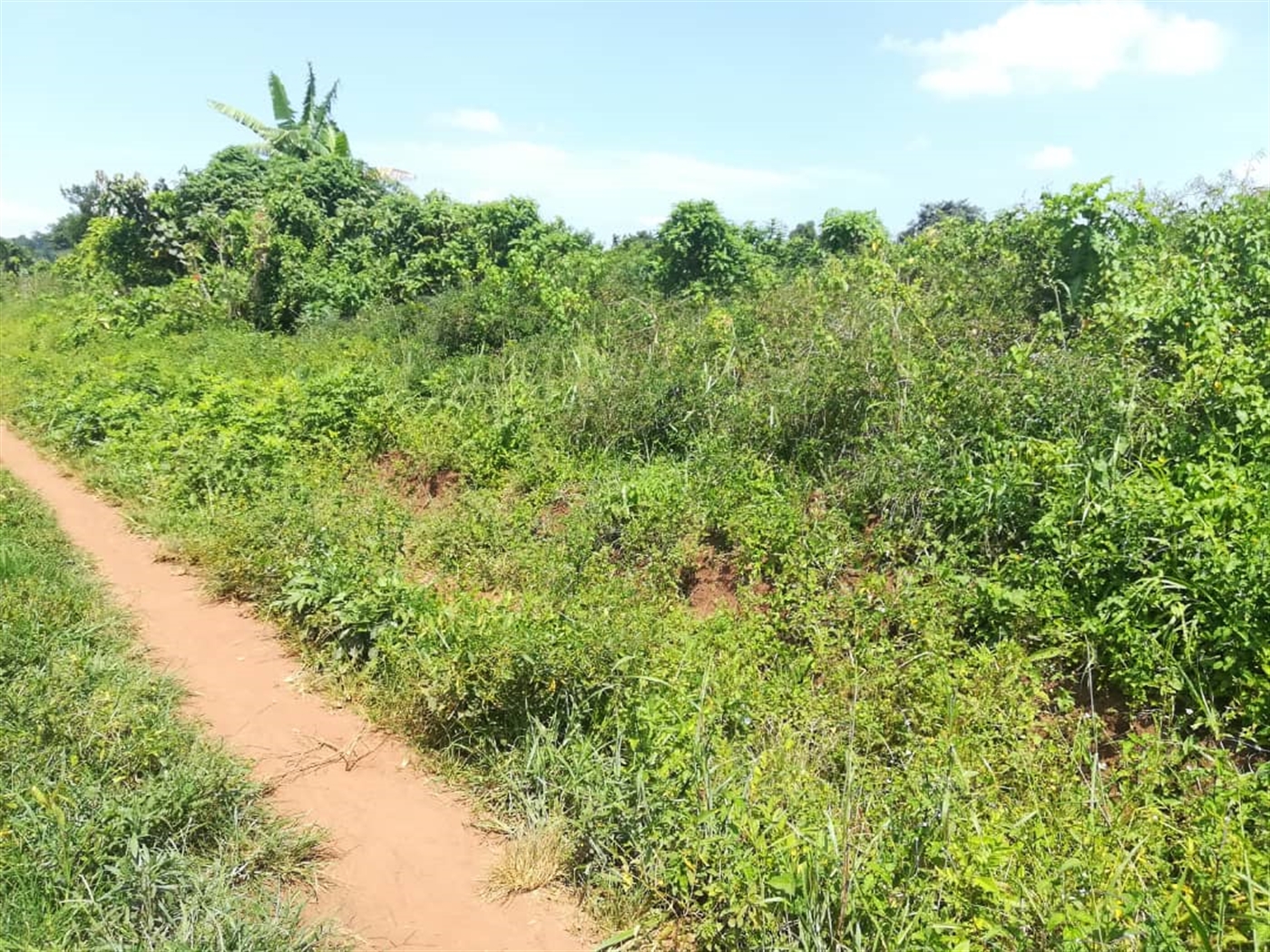 Residential Land for sale in Kabembe Mukono