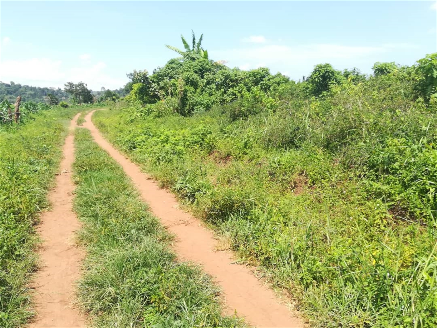 Residential Land for sale in Kabembe Mukono