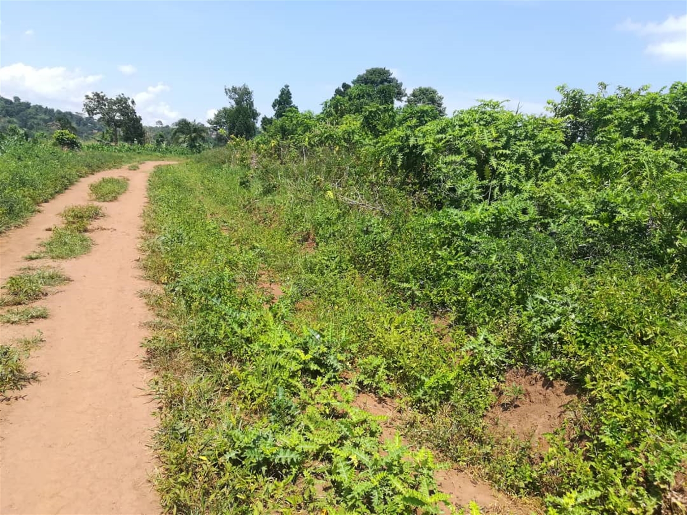 Residential Land for sale in Kabembe Mukono