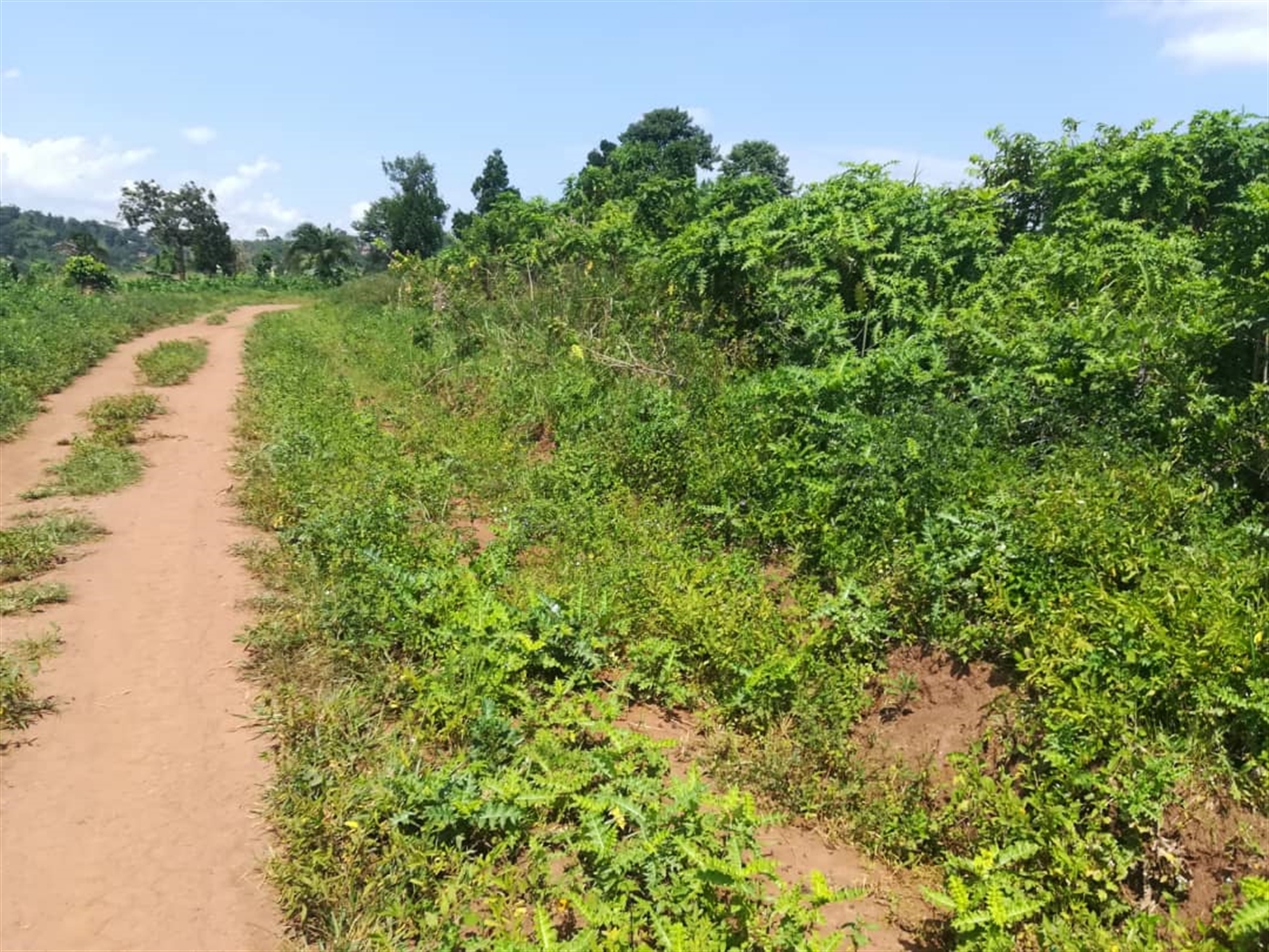 Residential Land for sale in Kabembe Mukono