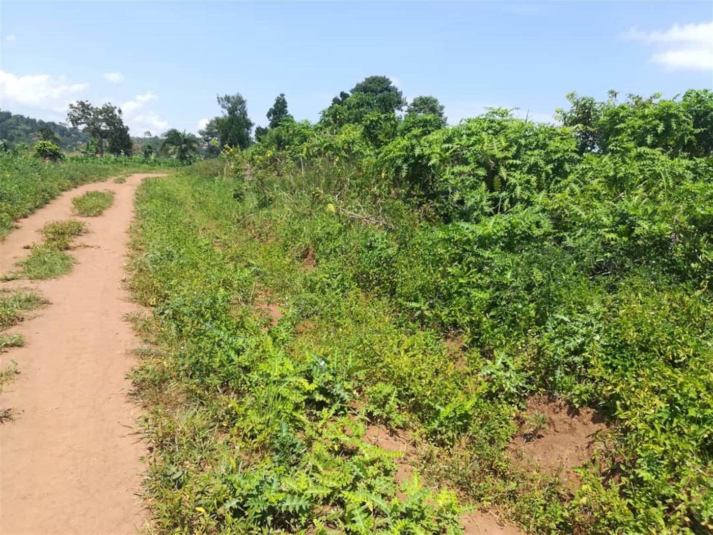 Residential Land for sale in Kabembe Mukono