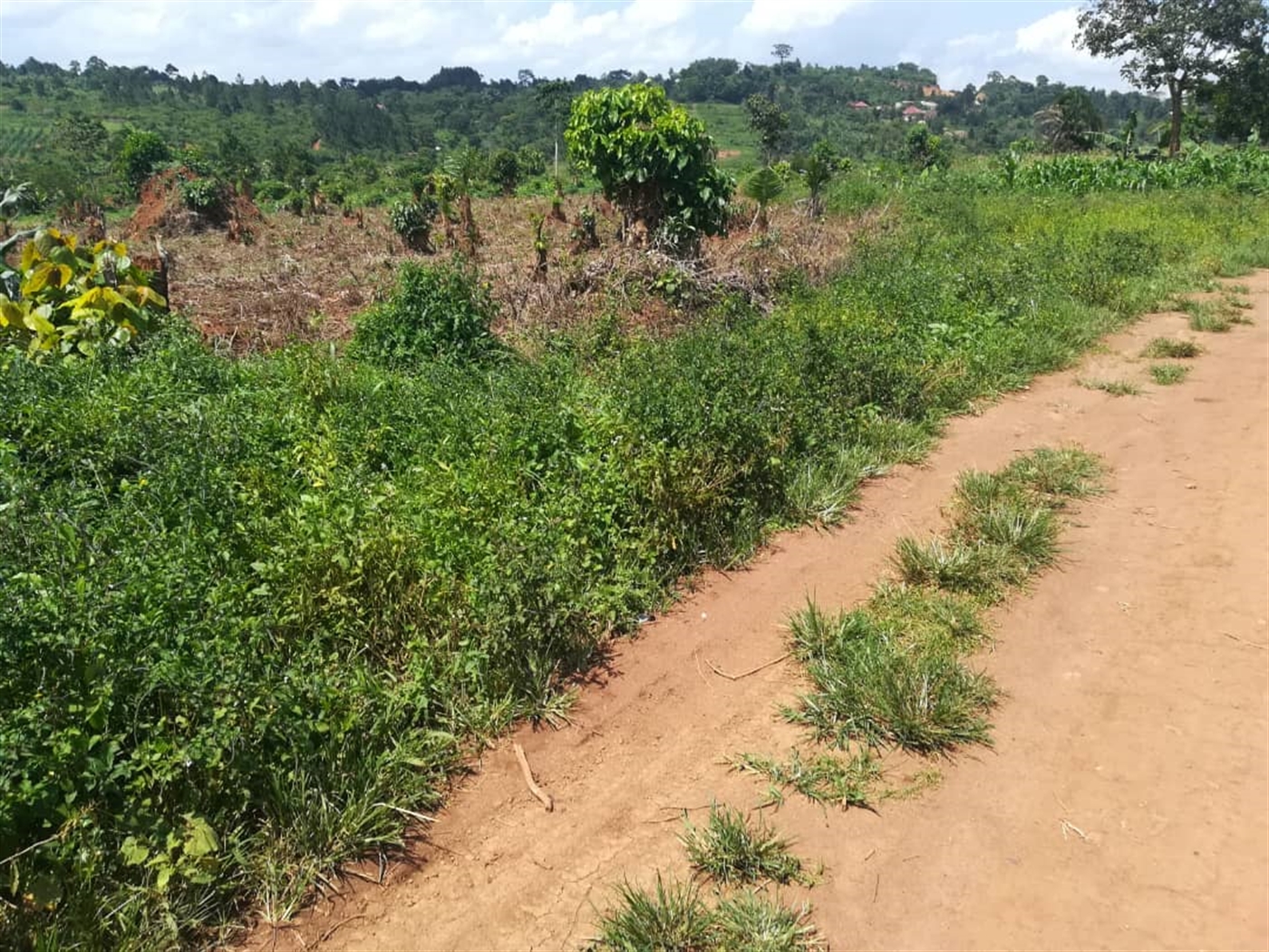 Residential Land for sale in Kabembe Mukono