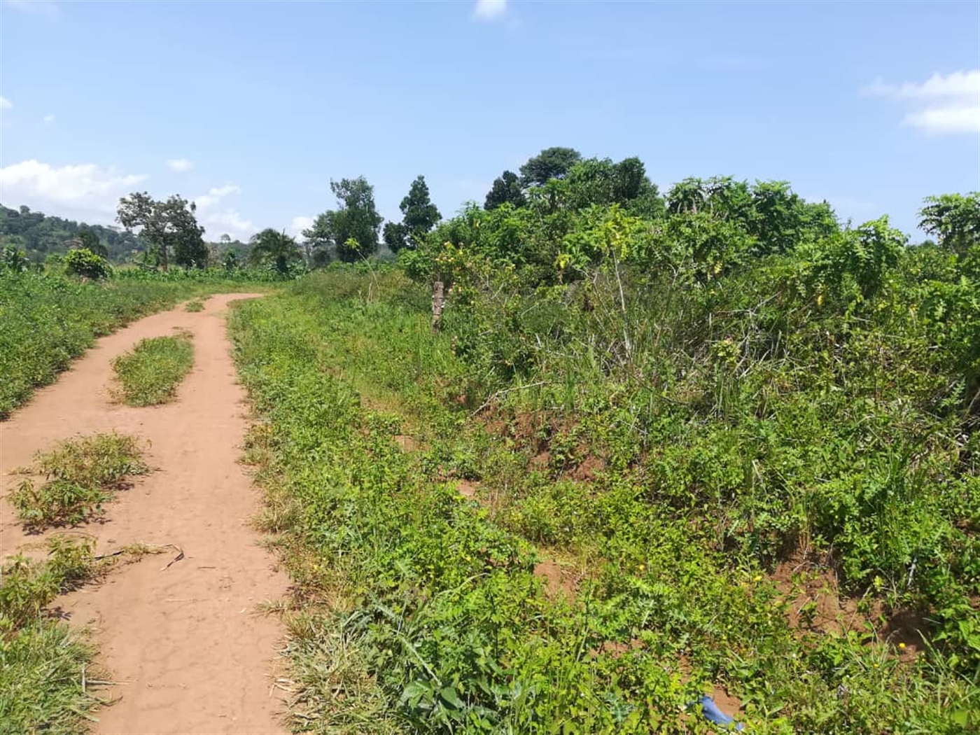 Residential Land for sale in Kabembe Mukono