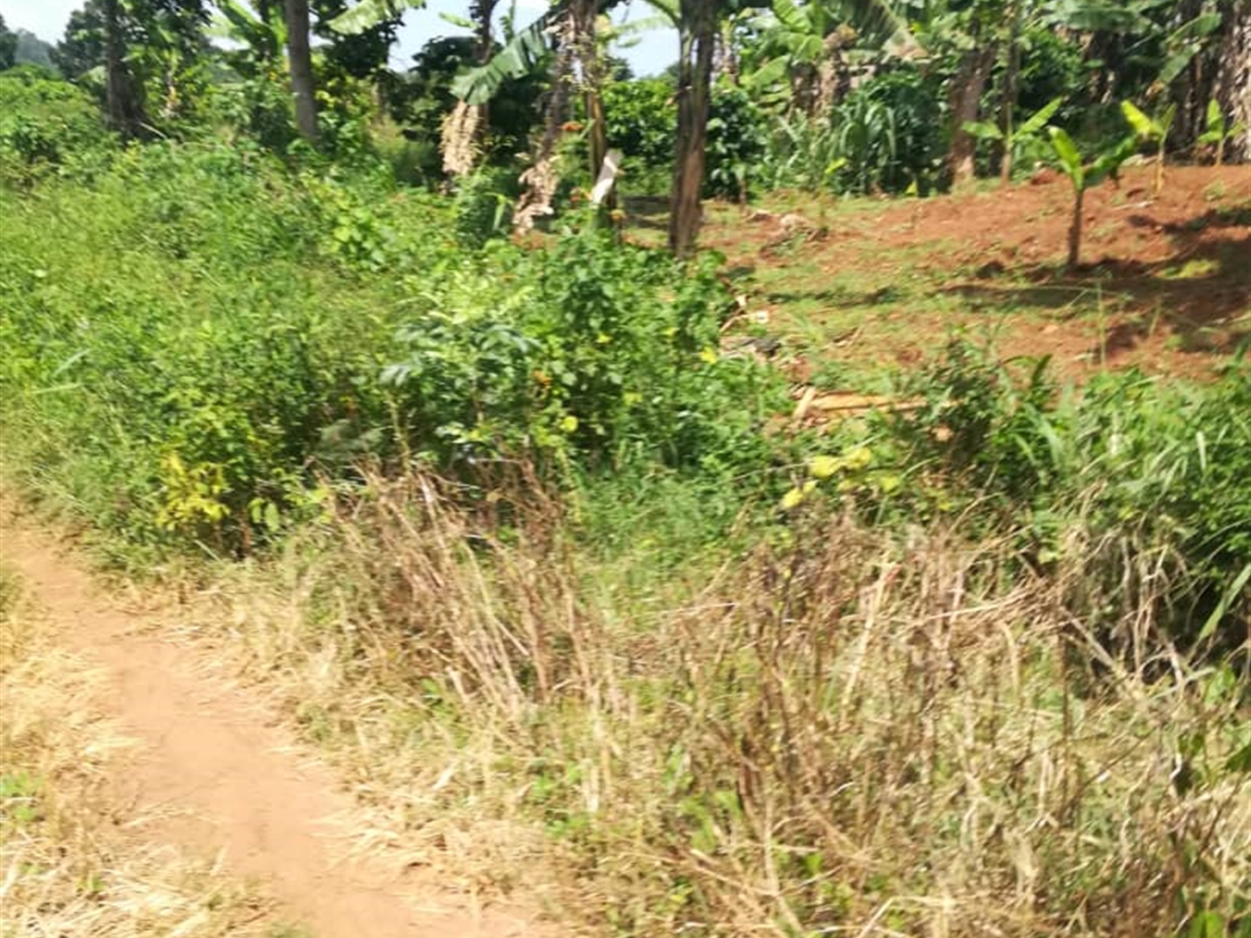 Residential Land for sale in Kabembe Mukono