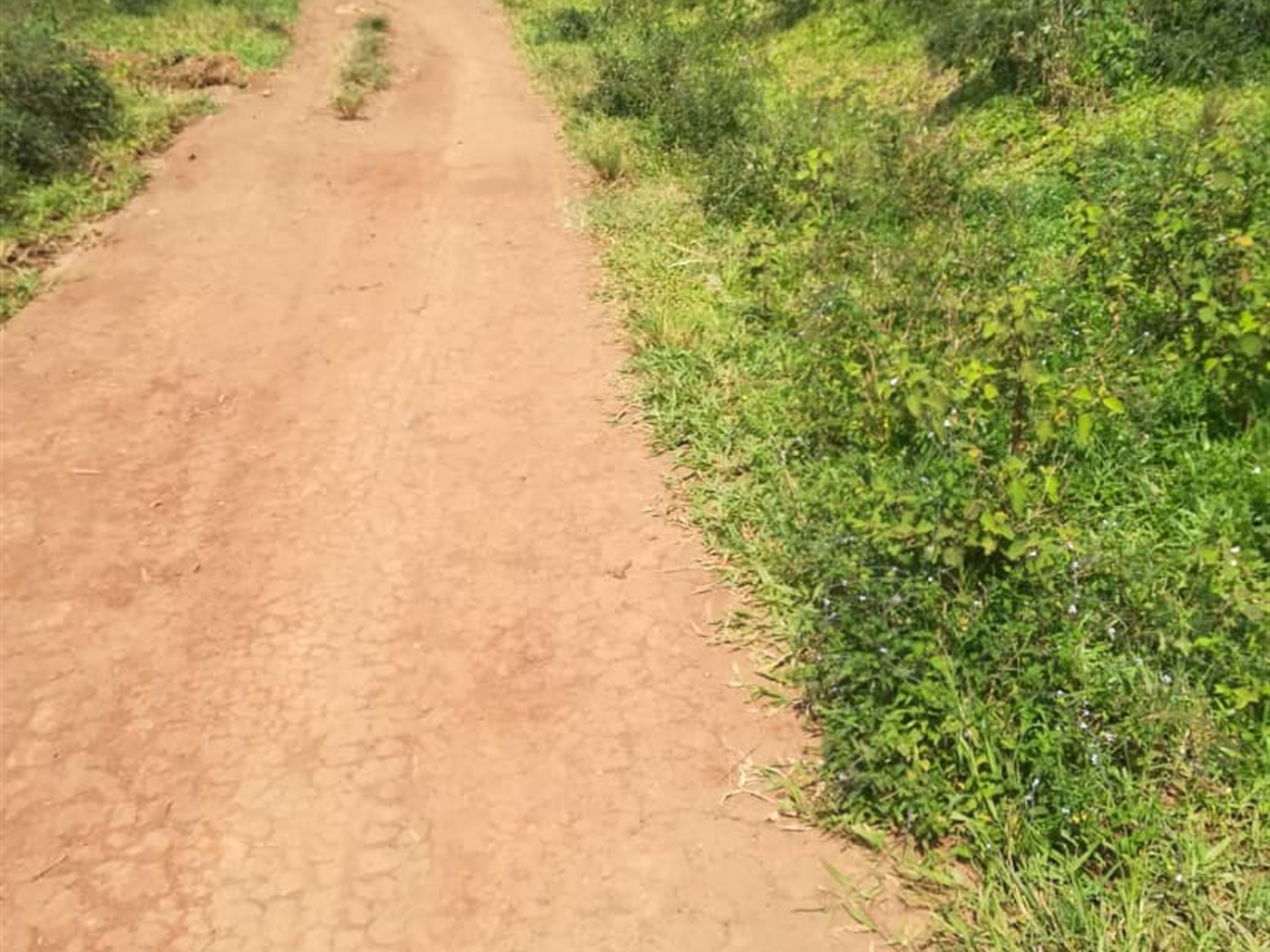 Residential Land for sale in Kabembe Mukono