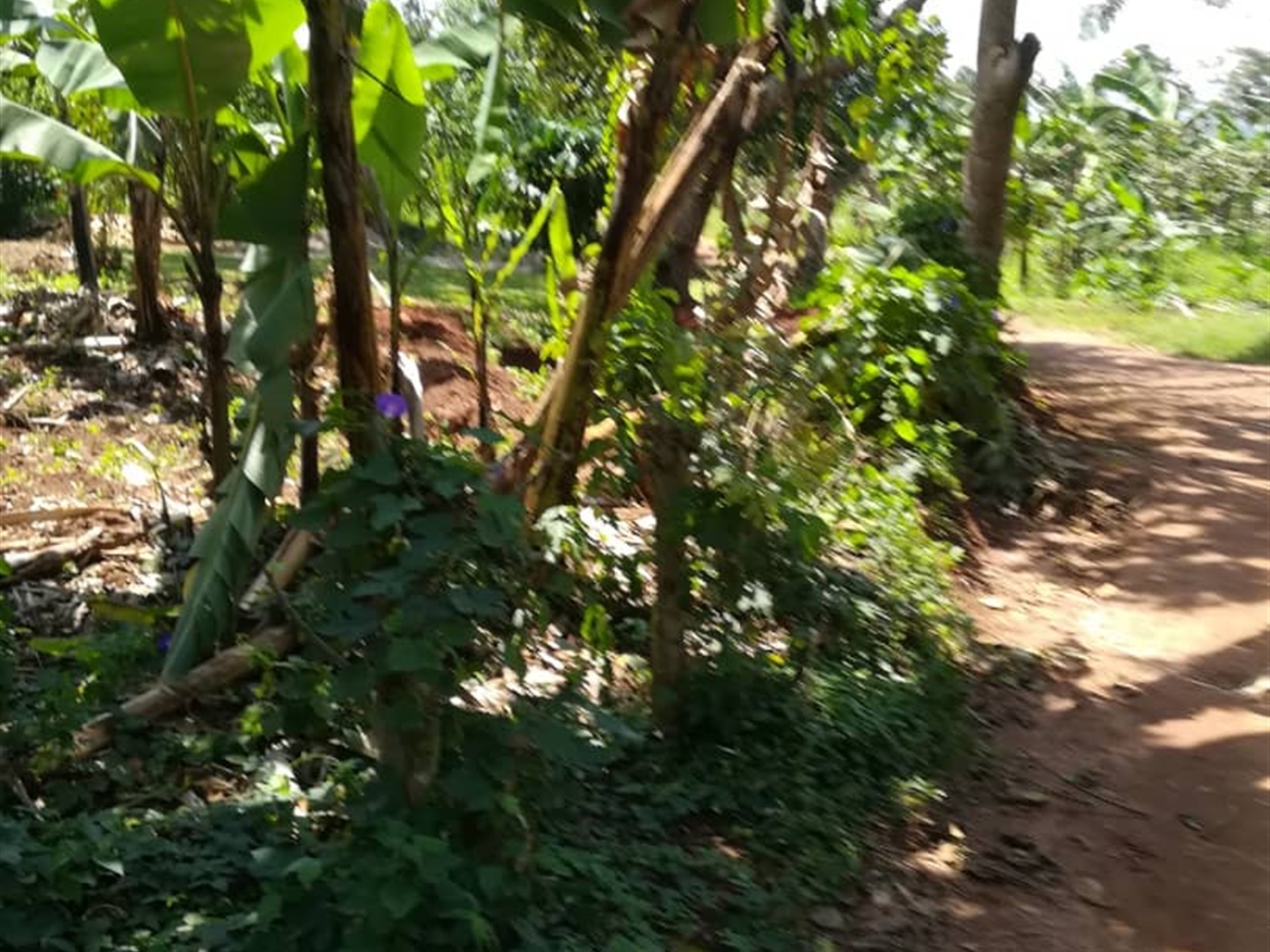 Residential Land for sale in Namuyenje Mukono