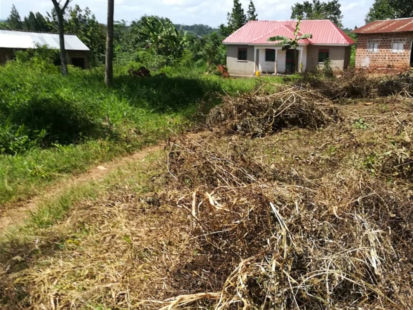 Residential Land for sale in Namuyenje Mukono