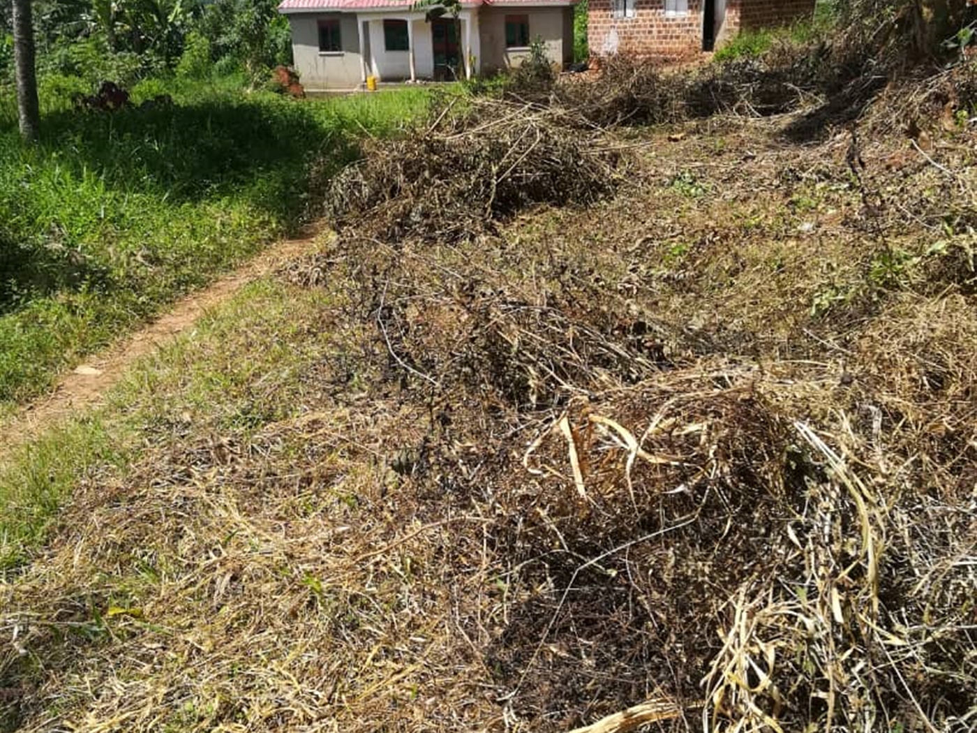 Residential Land for sale in Namuyenje Mukono