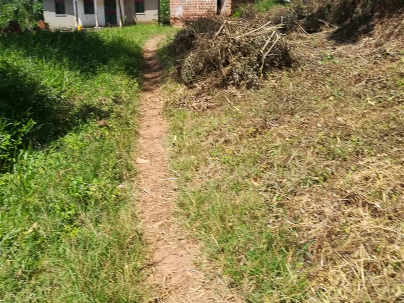 Residential Land for sale in Namuyenje Mukono