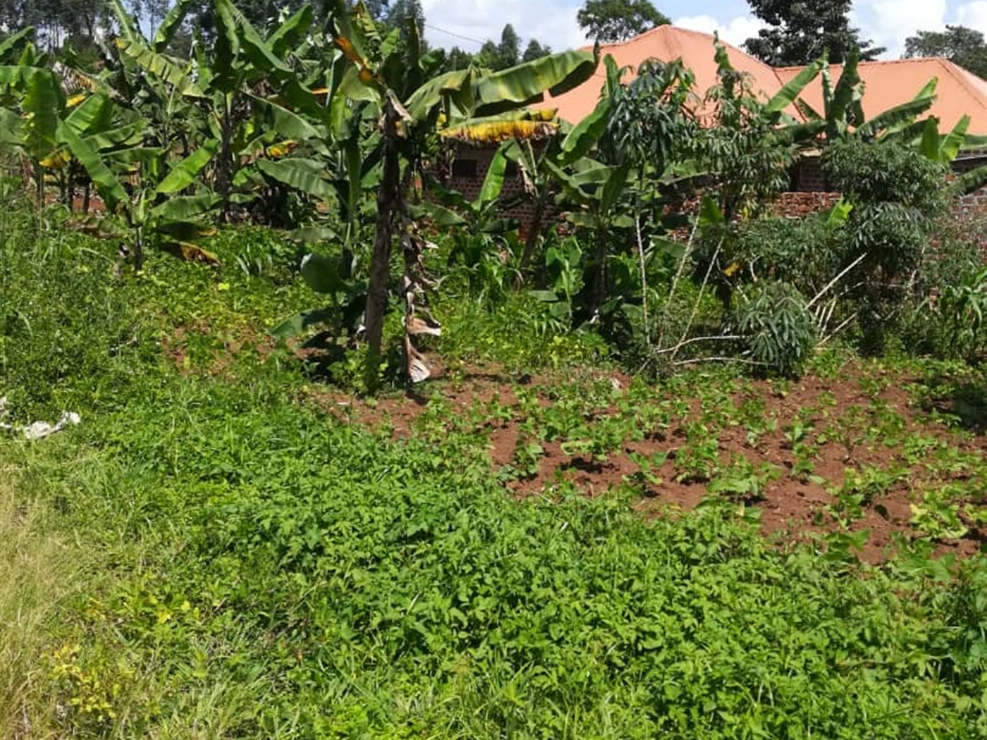 Residential Land for sale in Namuyenje Mukono