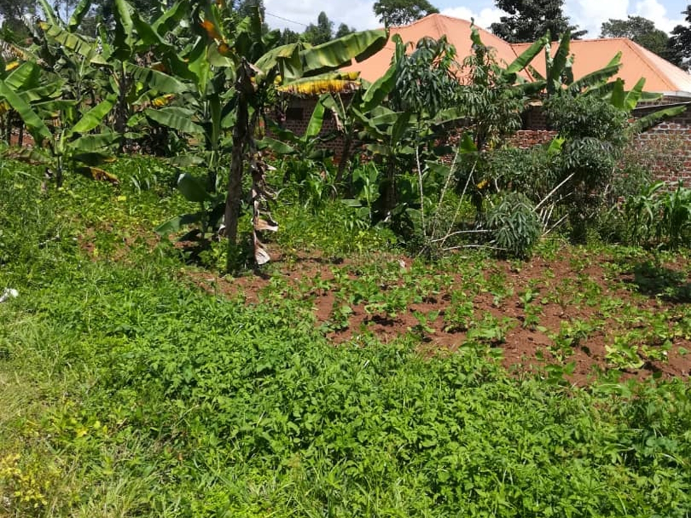 Residential Land for sale in Namuyenje Mukono