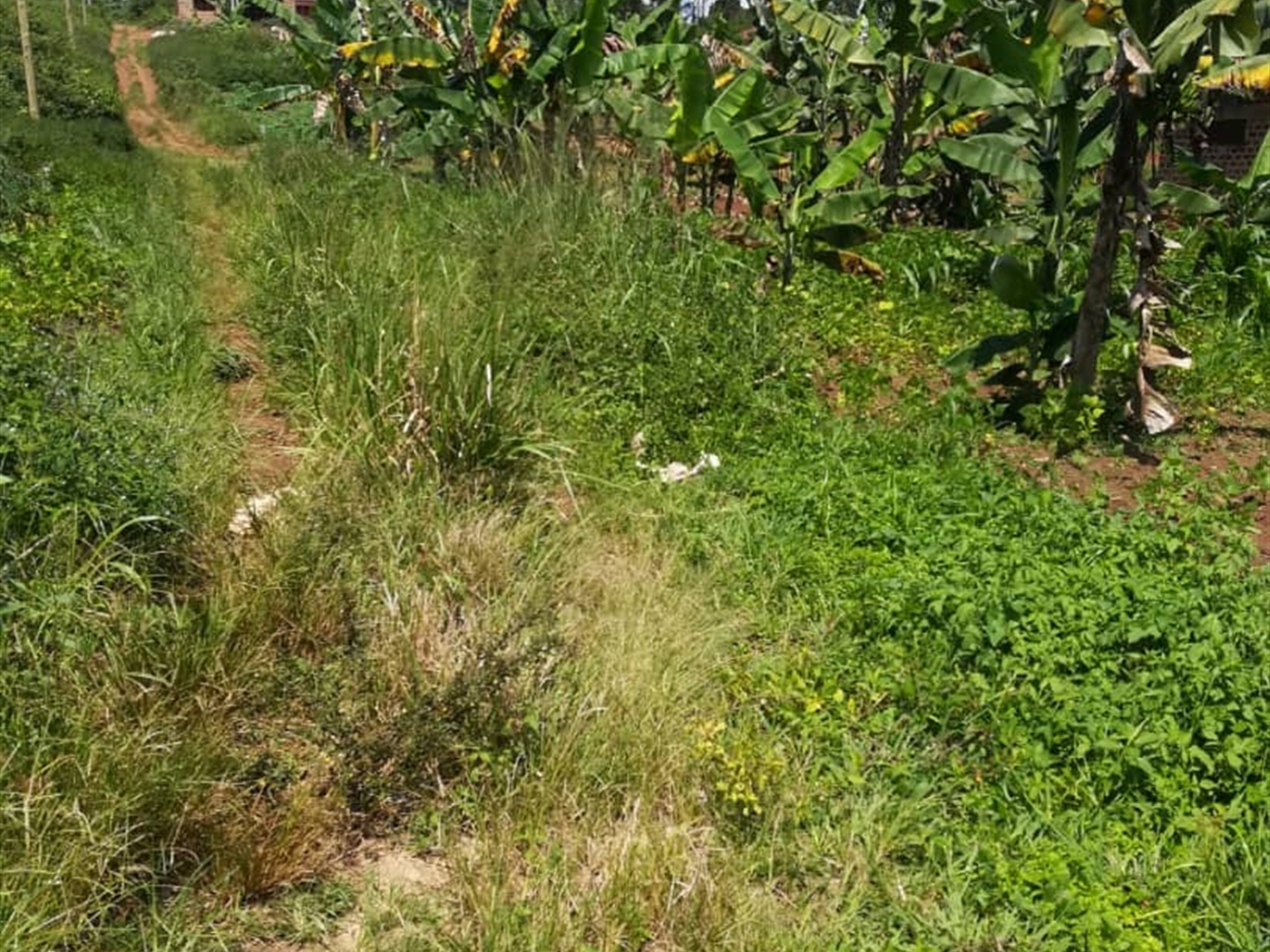 Residential Land for sale in Namuyenje Mukono