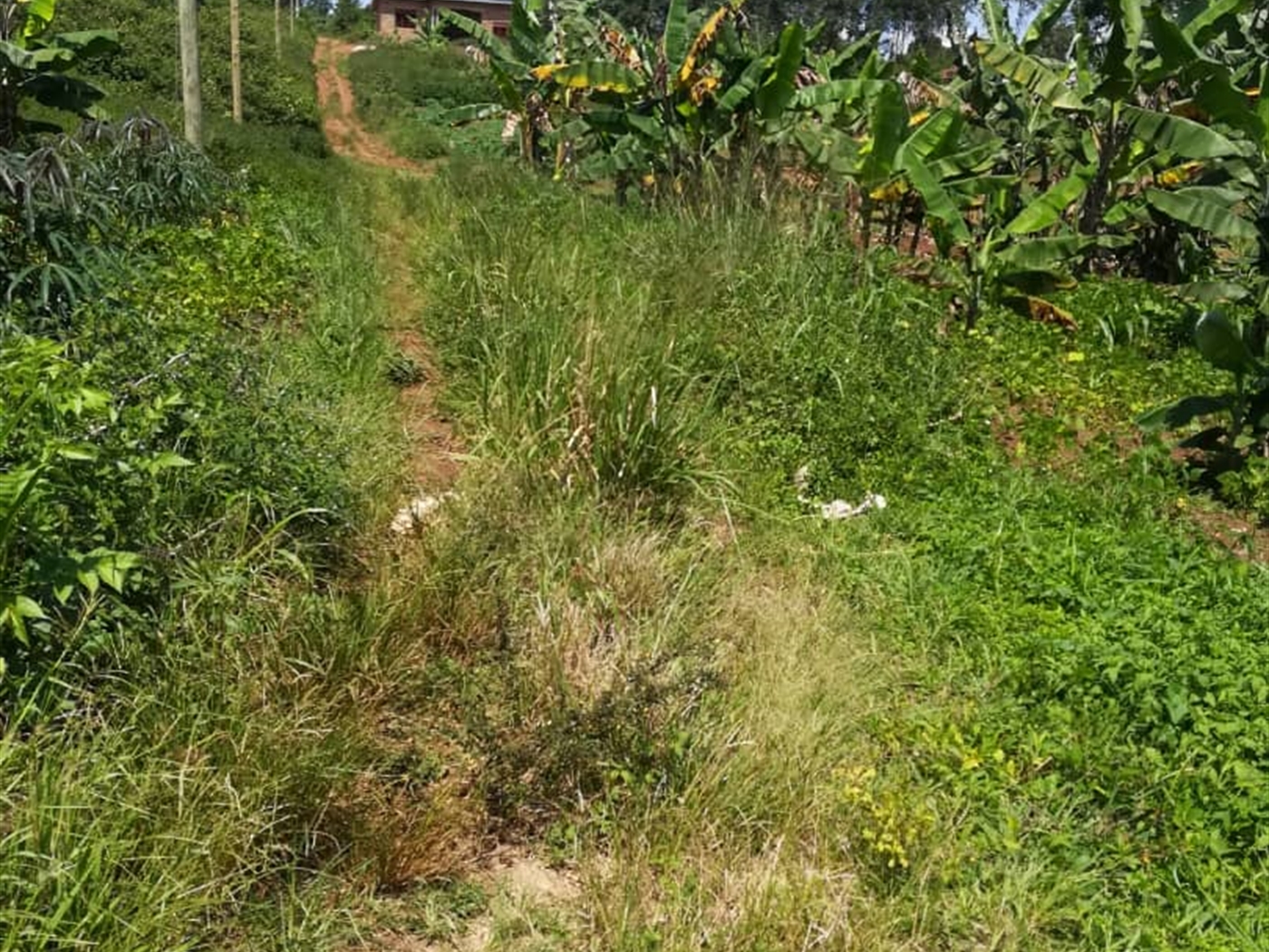 Residential Land for sale in Namuyenje Mukono