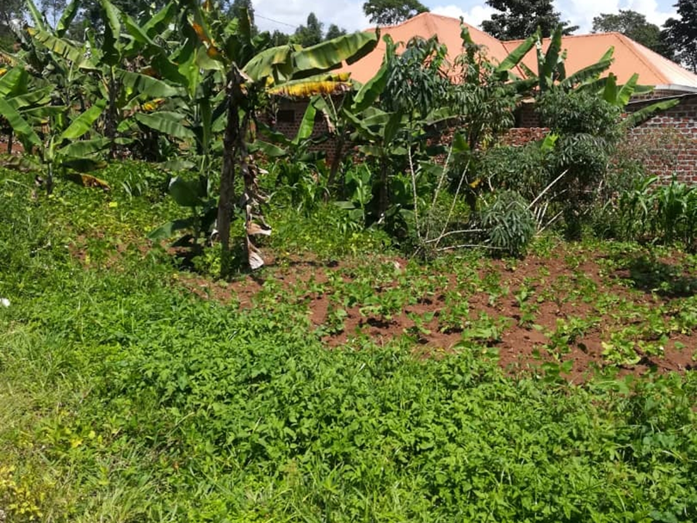 Residential Land for sale in Namuyenje Mukono