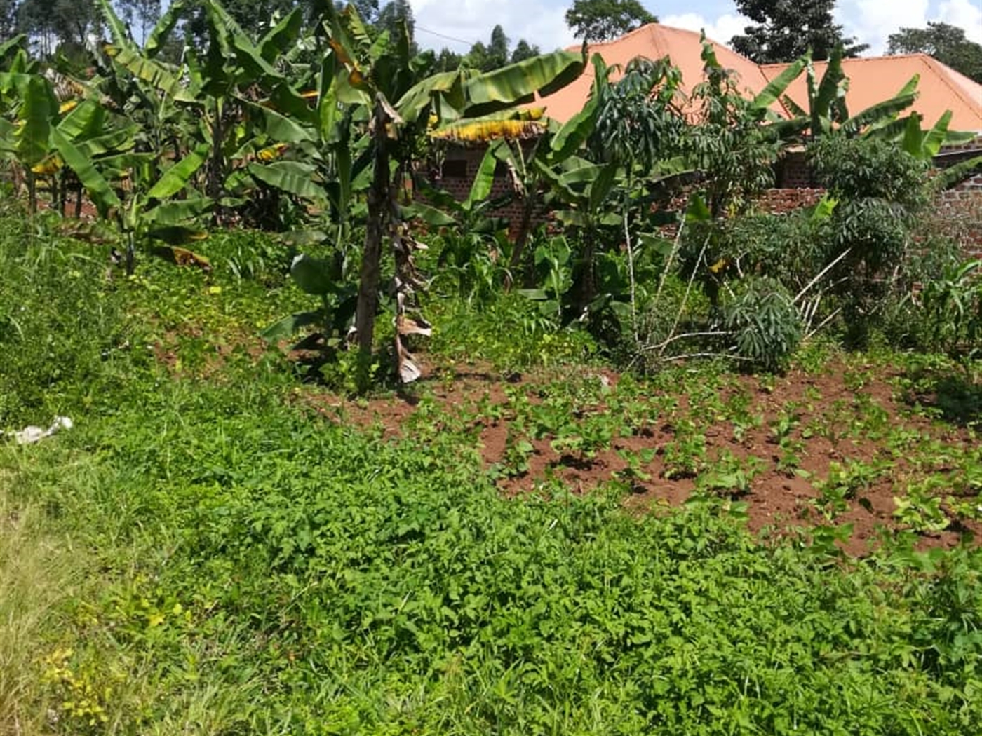 Residential Land for sale in Namuyenje Mukono