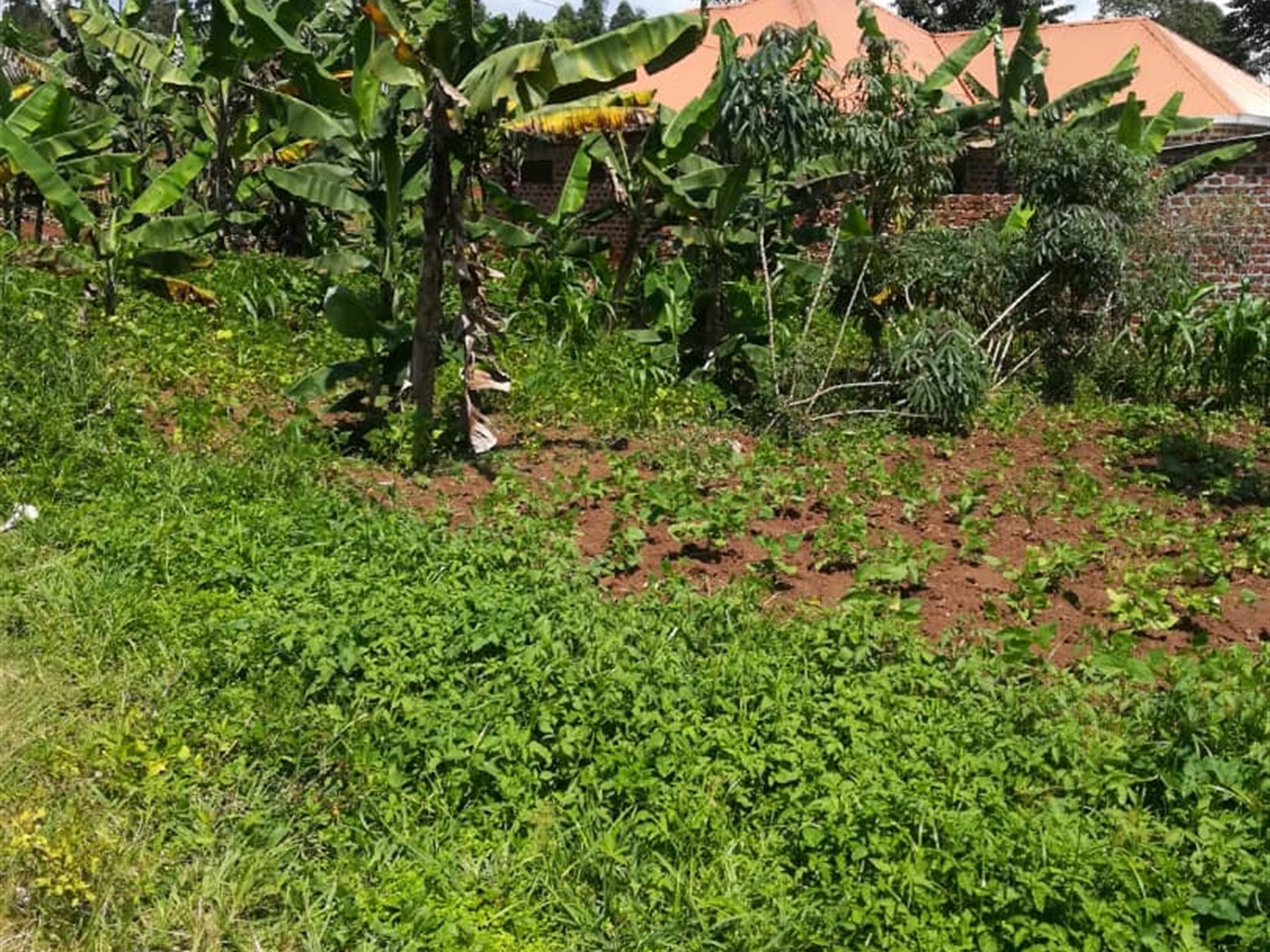 Residential Land for sale in Namuyenje Mukono