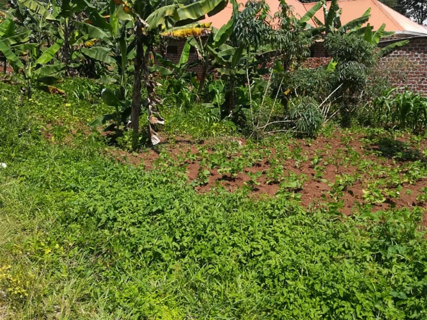 Residential Land for sale in Namuyenje Mukono