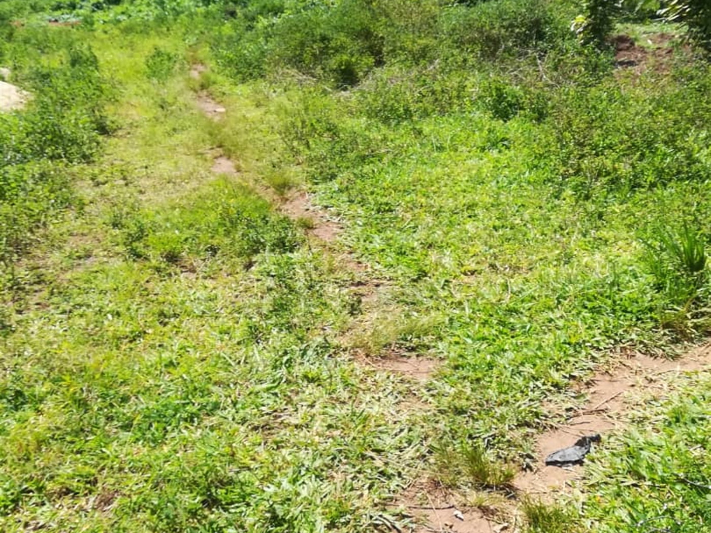 Residential Land for sale in Namuyenje Mukono